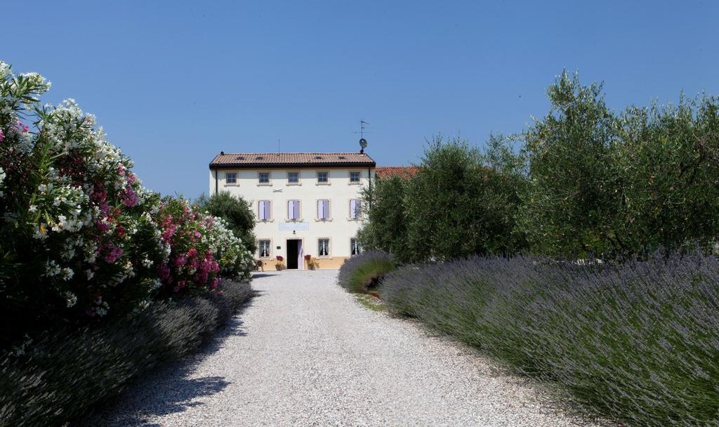 Agriturismo Casa Aurora Бусоленго Екстериор снимка